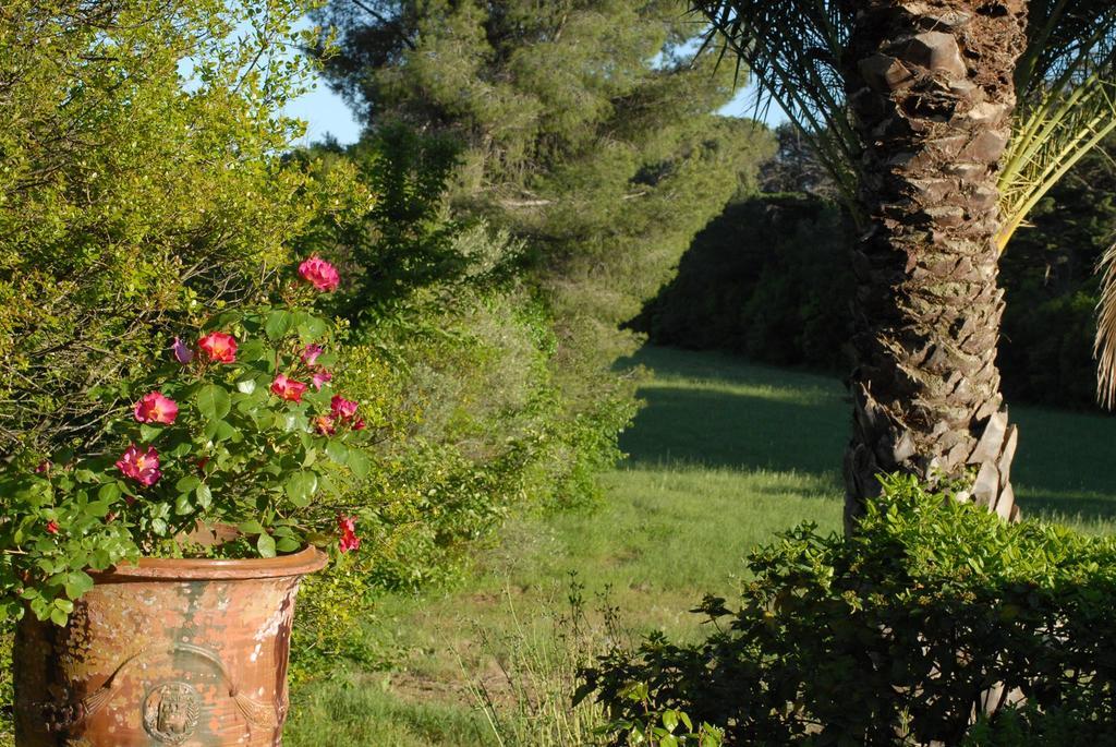 La Bellonette Marseillan  Zewnętrze zdjęcie