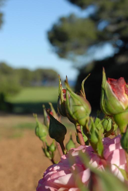 La Bellonette Marseillan  Zewnętrze zdjęcie